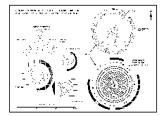 [Comparison of Stanton Drew with other henges with timber circles]